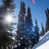 Burton Custom Camber snowboard til mænd