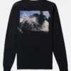 Burton Heavyweight Photo langærmet T-shirt