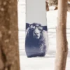 Burton Yeasayer Flying V snowboard til kvinder